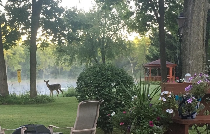 2373 Geddes, ROCKFORD, Illinois 61103, 3 Bedrooms Bedrooms, ,2 BathroomsBathrooms,House,For Sale,Geddes,202504409