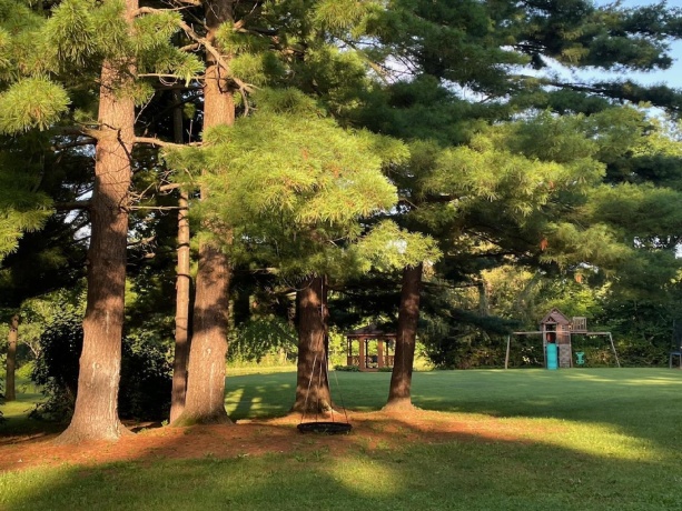 2373 Geddes, ROCKFORD, Illinois 61103, 3 Bedrooms Bedrooms, ,2 BathroomsBathrooms,House,For Sale,Geddes,202504409