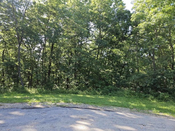 35 Tamarack Row, GALENA, Illinois 61036, ,Land,For Sale,Tamarack Row,202504432