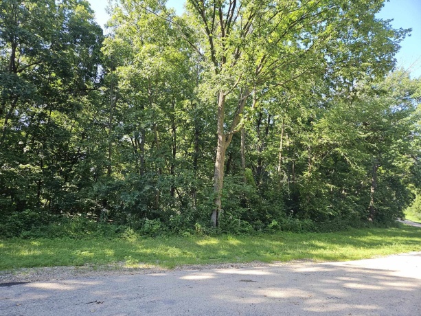 35 Tamarack Row, GALENA, Illinois 61036, ,Land,For Sale,Tamarack Row,202504432