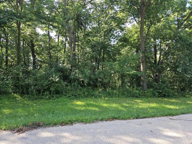 35 Tamarack Row, GALENA, Illinois 61036, ,Land,For Sale,Tamarack Row,202504432