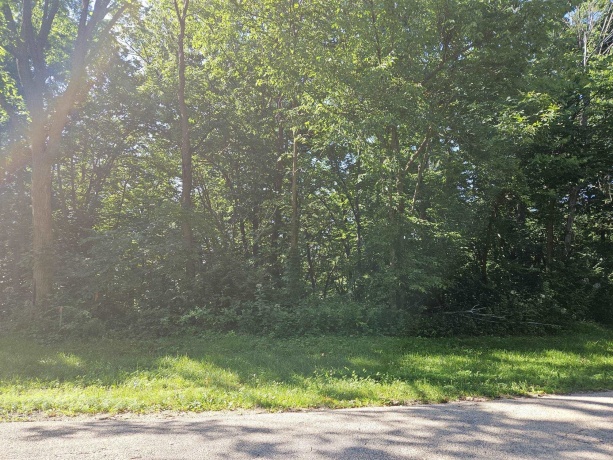 35 Tamarack Row, GALENA, Illinois 61036, ,Land,For Sale,Tamarack Row,202504432