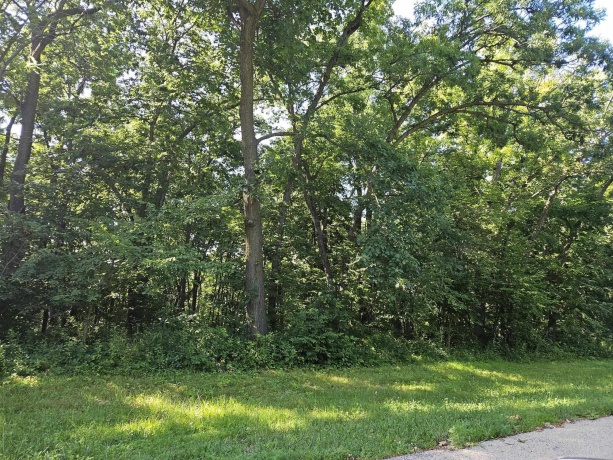 35 Tamarack Row, GALENA, Illinois 61036, ,Land,For Sale,Tamarack Row,202504432