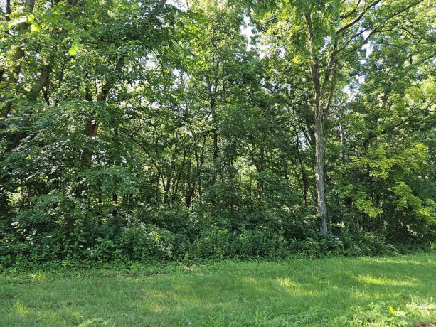 35 Tamarack Row, GALENA, Illinois 61036, ,Land,For Sale,Tamarack Row,202504432