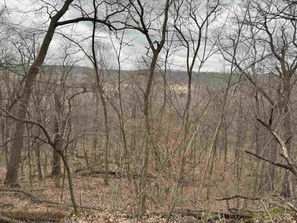 35 Tamarack Row, GALENA, Illinois 61036, ,Land,For Sale,Tamarack Row,202504432