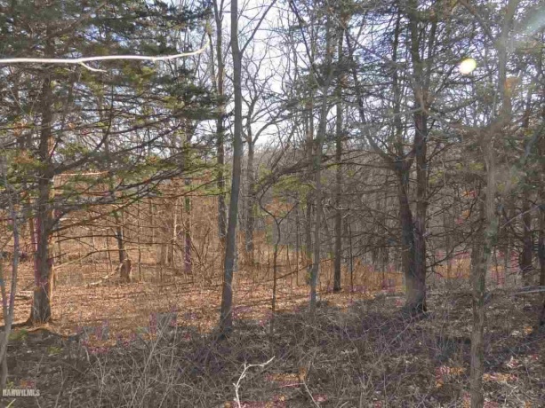 9 Cedar Rim, GALENA, Illinois 61036, ,Land,For Sale,Cedar Rim,202200219