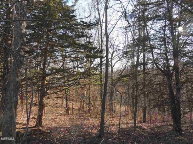 9 Cedar Rim, GALENA, Illinois 61036, ,Land,For Sale,Cedar Rim,202200219