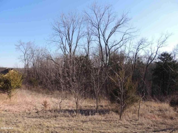 9 Cedar Rim, GALENA, Illinois 61036, ,Land,For Sale,Cedar Rim,202200219