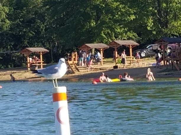 1400 Pier, LAKE SUMMERSET, Illinois 61019, ,Land,For Sale,Pier,202403512