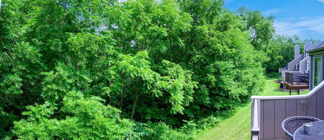 19 Cedar Bluff, GALENA, Illinois 61036, 3 Bedrooms Bedrooms, ,2 BathroomsBathrooms,Condominium,For Sale,Cedar Bluff,202504646