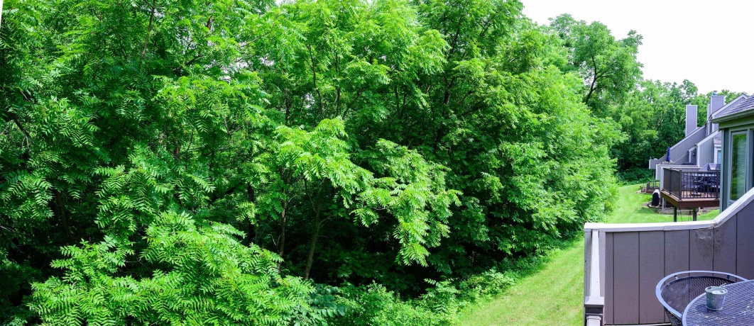 19 Cedar Bluff, GALENA, Illinois 61036, 3 Bedrooms Bedrooms, ,2 BathroomsBathrooms,Condominium,For Sale,Cedar Bluff,202504646