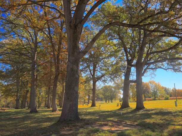 4500 River, RIDOTT, Illinois 61067, ,Land,For Sale,River,202504720