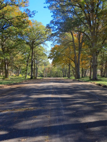 4500 River, RIDOTT, Illinois 61067, ,Land,For Sale,River,202504720