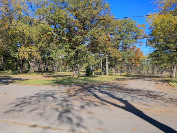 4500 River, RIDOTT, Illinois 61067, ,Land,For Sale,River,202504720