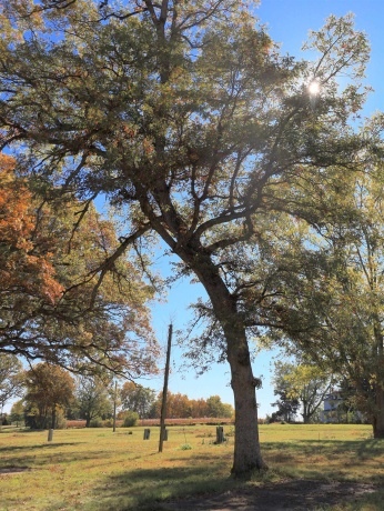 4500 River, RIDOTT, Illinois 61067, ,Land,For Sale,River,202504720