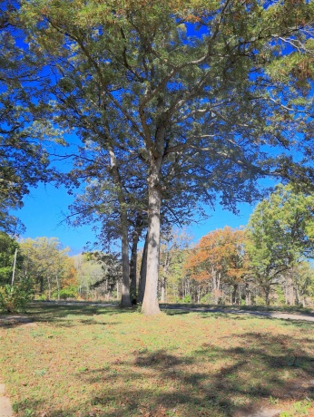 4500 River, RIDOTT, Illinois 61067, ,Land,For Sale,River,202504720