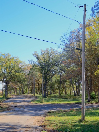 4500 River, RIDOTT, Illinois 61067, ,Land,For Sale,River,202504720