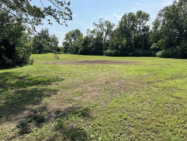 101 Division, SHANNON, Illinois 61078, 4 Bedrooms Bedrooms, ,2 BathroomsBathrooms,House,For Sale,Division,202504786