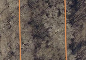 XX SMYTHE, MACHESNEY PARK, Illinois 61115, ,Land,For Sale,SMYTHE,202504906