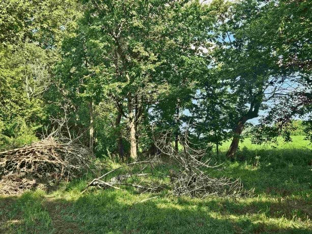 000 Anterior, OREGON, Illinois 61061, ,Land,For Sale,Anterior,202504923