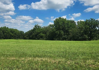 16-5R Lake Carroll, LAKE CARROLL, Illinois 61046, ,Land,For Sale,Lake Carroll,202504927