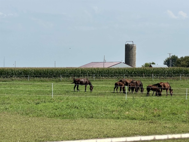 9896 Lincoln, MORRISON, Illinois 61270, 2 Bedrooms Bedrooms, ,2 BathroomsBathrooms,House,For Sale,Lincoln,202504962