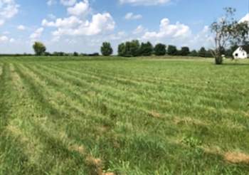 6N353 Autumn, SAINT CHARLES, Illinois 60175, ,Land,For Sale,Autumn,202505049