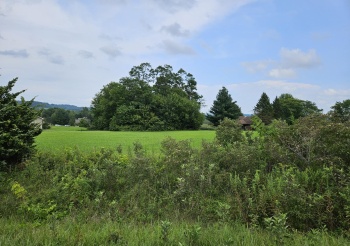 3 Butternut, GALENA, Illinois 61036, ,Land,For Sale,Butternut,202505057