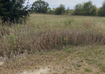 TBD Hales Corner, STILLMAN VALLEY, Illinois 61084, ,Land,For Sale,Hales Corner,202505195