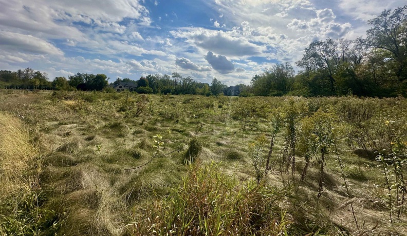 5048 Smokethorn, BELVIDERE, Illinois 61008, ,Land,For Sale,Smokethorn,202504434