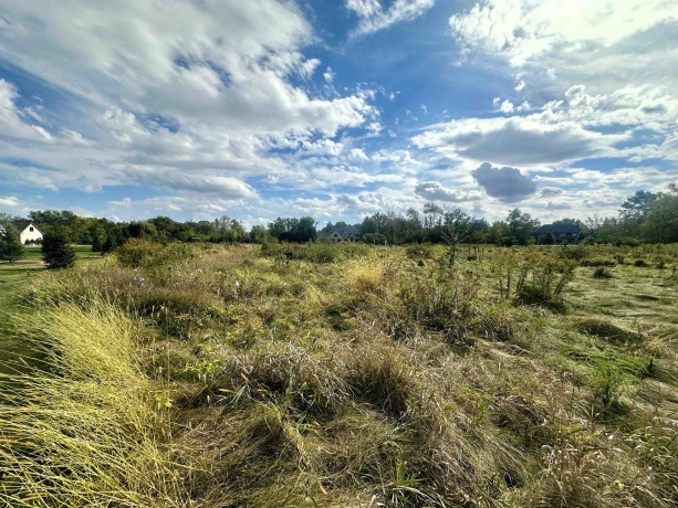 5048 Smokethorn, BELVIDERE, Illinois 61008, ,Land,For Sale,Smokethorn,202504434