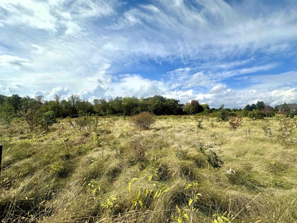 5048 Smokethorn, BELVIDERE, Illinois 61008, ,Land,For Sale,Smokethorn,202504434