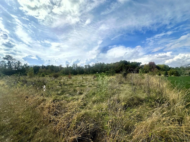 5048 Smokethorn, BELVIDERE, Illinois 61008, ,Land,For Sale,Smokethorn,202504434