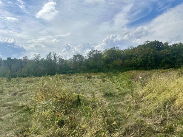 5048 Smokethorn, BELVIDERE, Illinois 61008, ,Land,For Sale,Smokethorn,202504434