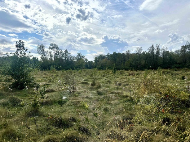 5048 Smokethorn, BELVIDERE, Illinois 61008, ,Land,For Sale,Smokethorn,202504434