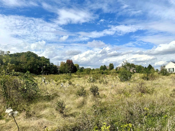 5048 Smokethorn, BELVIDERE, Illinois 61008, ,Land,For Sale,Smokethorn,202504434