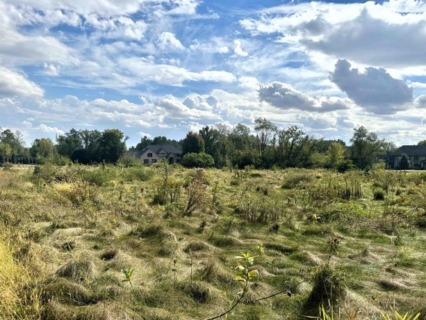 5048 Smokethorn, BELVIDERE, Illinois 61008, ,Land,For Sale,Smokethorn,202504434