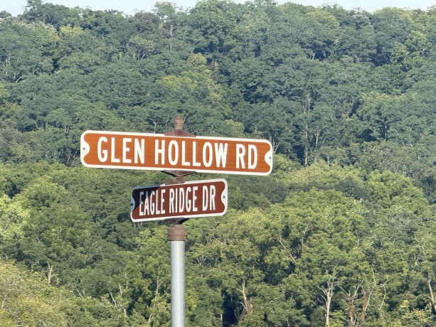 114 Glen Hollow, GALENA, Illinois 61036, ,Land,For Sale,Glen Hollow,202505339
