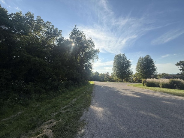 114 Glen Hollow, GALENA, Illinois 61036, ,Land,For Sale,Glen Hollow,202505339