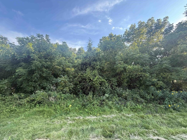114 Glen Hollow, GALENA, Illinois 61036, ,Land,For Sale,Glen Hollow,202505339