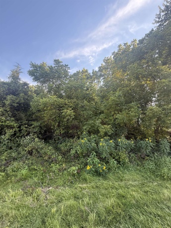 114 Glen Hollow, GALENA, Illinois 61036, ,Land,For Sale,Glen Hollow,202505339
