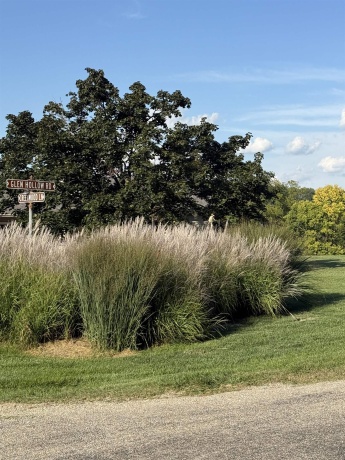 114 Glen Hollow, GALENA, Illinois 61036, ,Land,For Sale,Glen Hollow,202505339