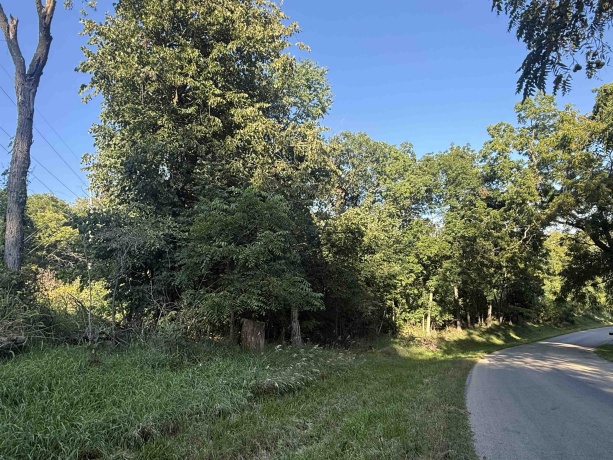 4714 Longhollow, GALENA, Illinois 61036, ,Land,For Sale,Longhollow,202505341