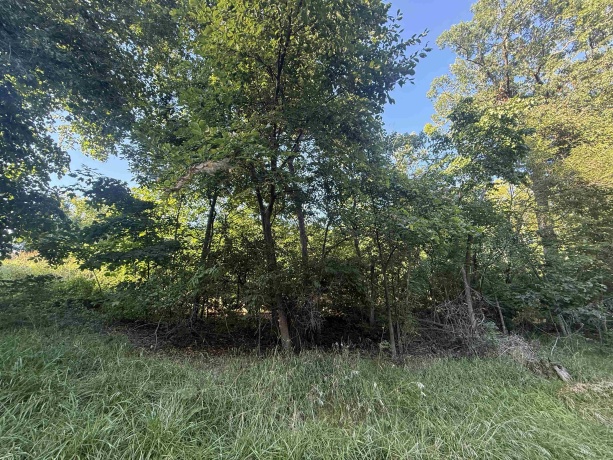 4714 Longhollow, GALENA, Illinois 61036, ,Land,For Sale,Longhollow,202505341