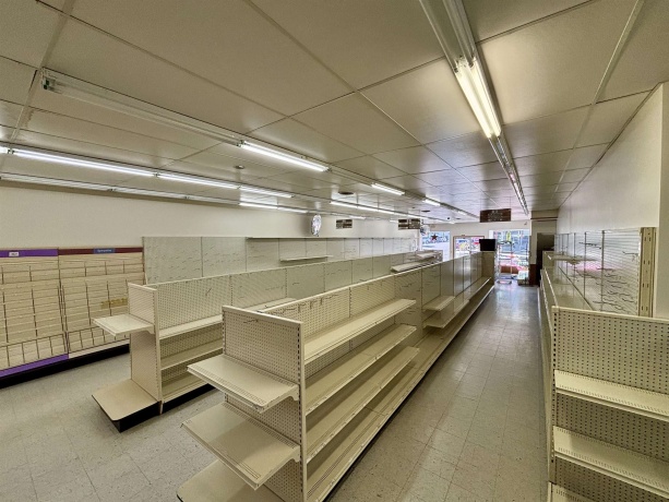 101 Market, MOUNT CARROLL, Illinois 61053, ,3 - 4 Units,For Sale,Market,202505347