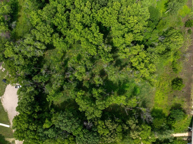 0 Fairview Rd., FREEPORT, Illinois 61032, ,Land,For Sale,Fairview Rd.,202504855