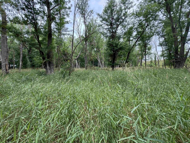 0 Fairview Rd., FREEPORT, Illinois 61032, ,Land,For Sale,Fairview Rd.,202504855