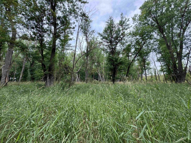 0 Fairview Rd., FREEPORT, Illinois 61032, ,Land,For Sale,Fairview Rd.,202504855