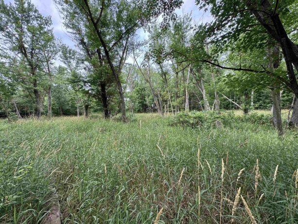 0 Fairview Rd., FREEPORT, Illinois 61032, ,Land,For Sale,Fairview Rd.,202504855