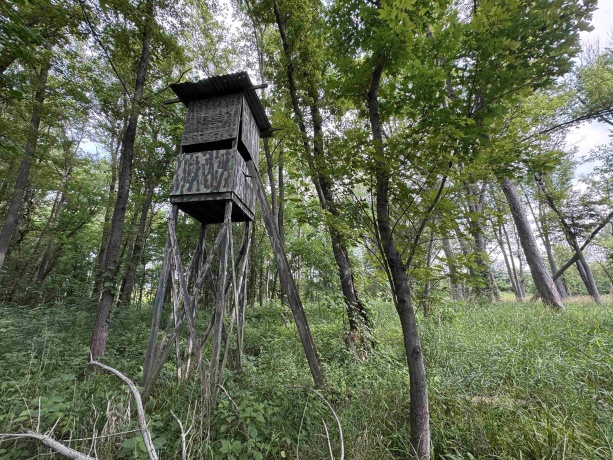 0 Fairview Rd., FREEPORT, Illinois 61032, ,Land,For Sale,Fairview Rd.,202504855